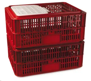 Bretcor Plastic Product - Live Bird Crate
